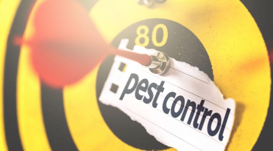 Professional pest control services in Aptos